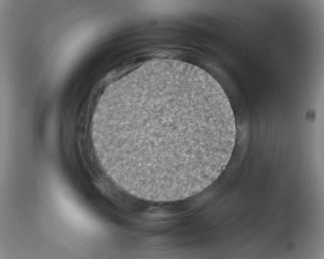 X0000112730381200910011203