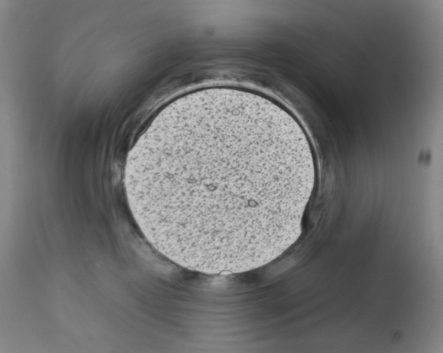 X0000112730382200910011203