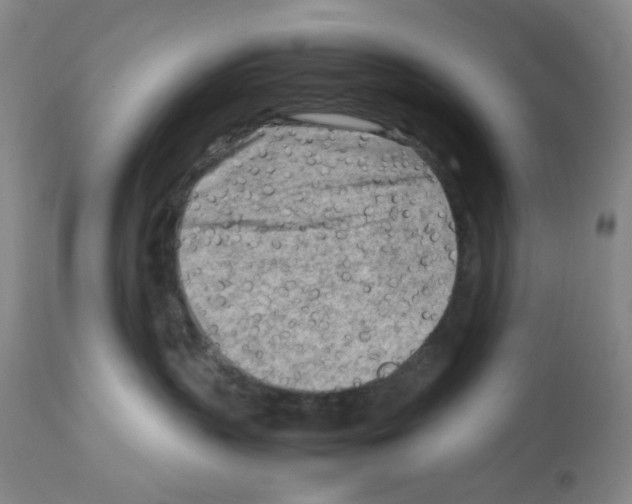 X0000112730383200910011203