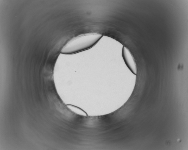 X0000112730384200910011203