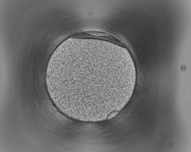 X0000112730385200910011202