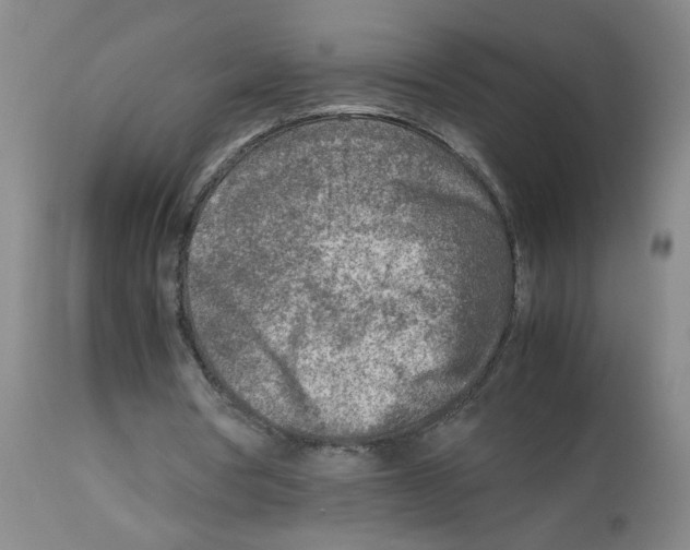 X0000112730386200910011202