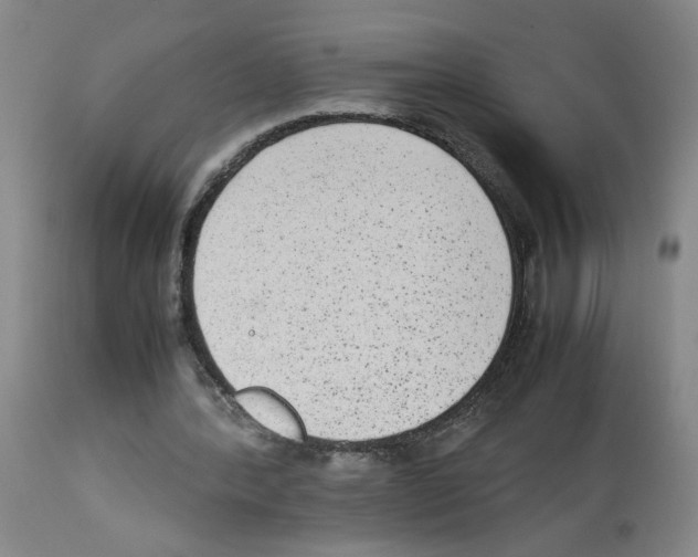 X0000112730388200910011202