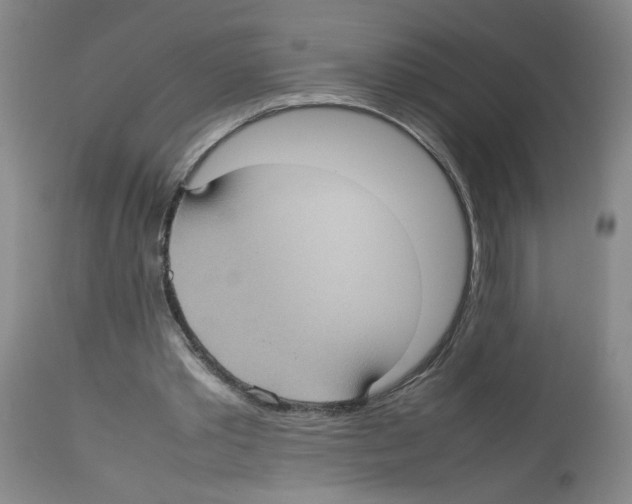 X0000112730389200910011202