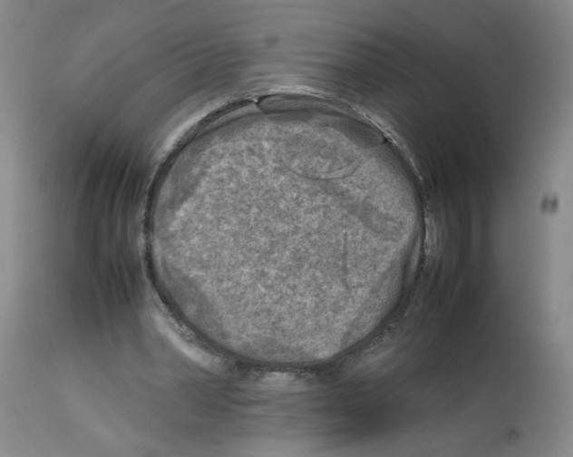 X0000112730390200910011202