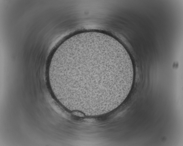 X0000112730391200910011202