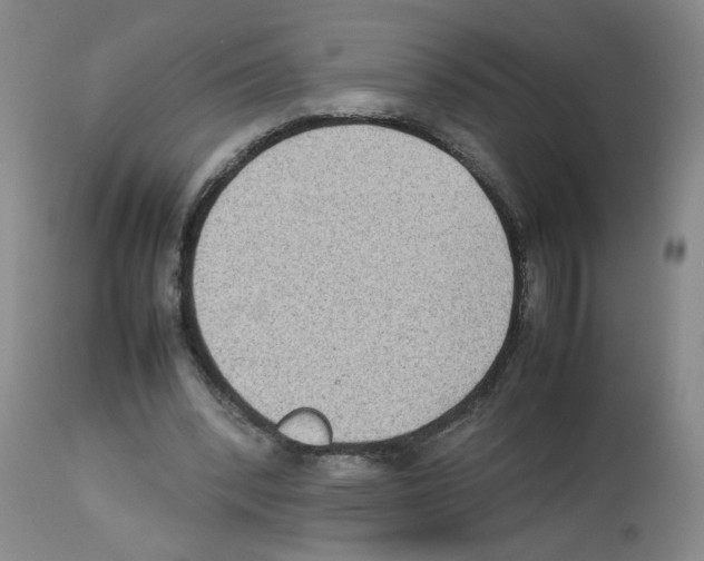 X0000112730392200910011202