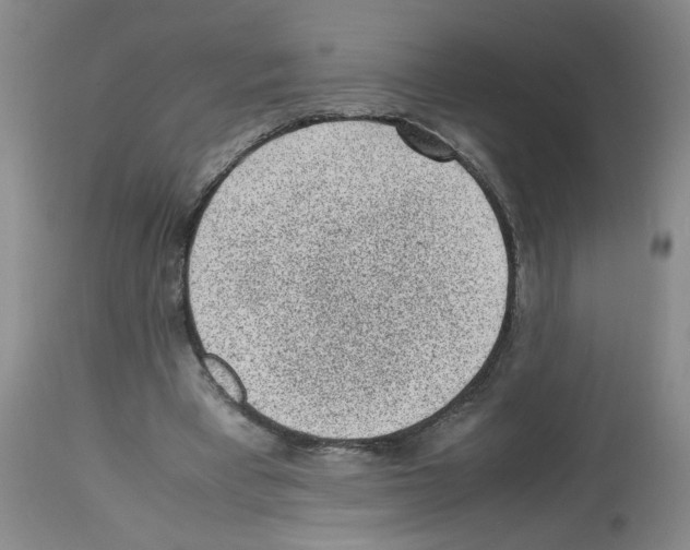 X0000112730393200910011202