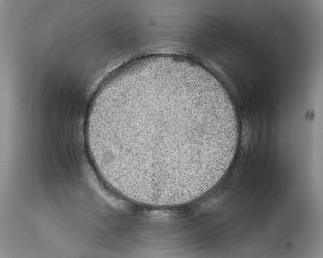 X0000112730394200910011202