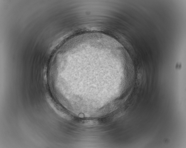 X0000112730398200910011202