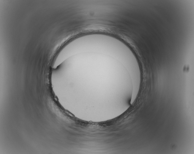 X0000112730399200910011202