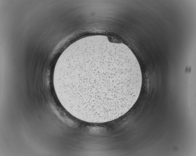 X0000112730400200910011202