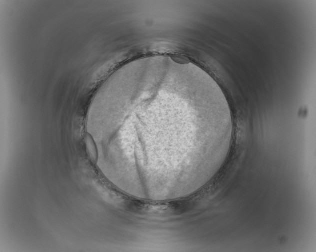 X0000112730401200910011202