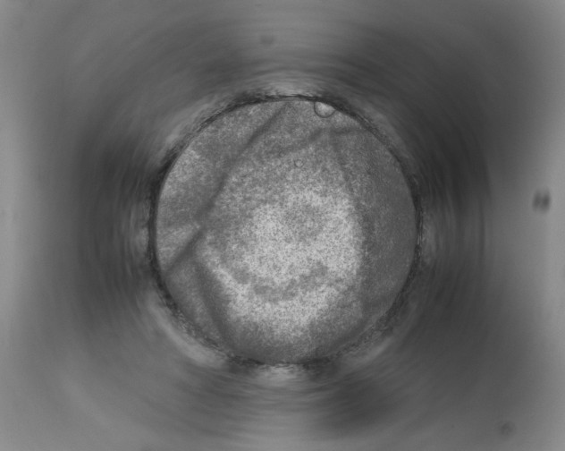 X0000112730402200910011202