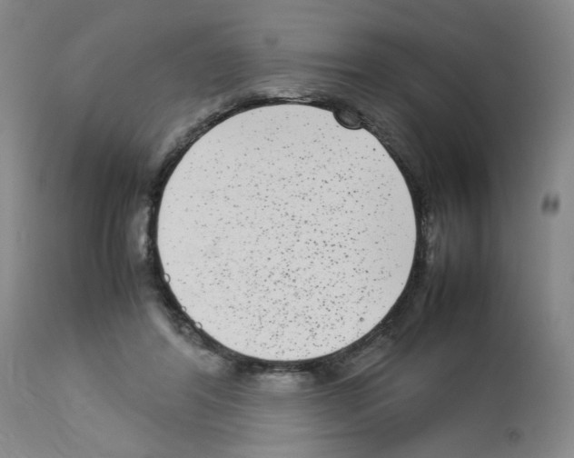 X0000112730404200910011202