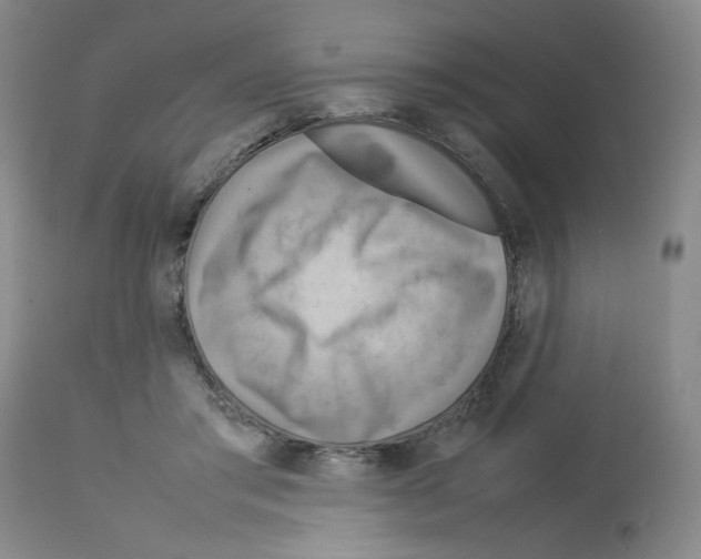 X0000112730405200910011202