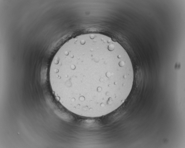 X0000112730406200910011202