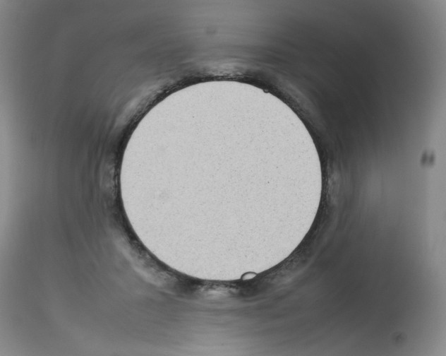 X0000112730407200910011202