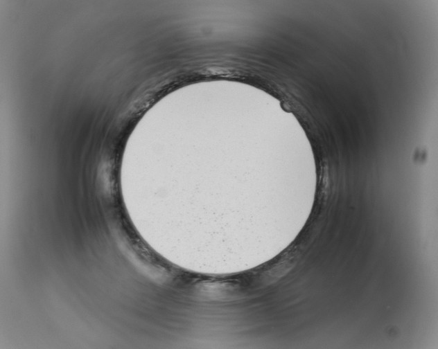 X0000112730408200910011202