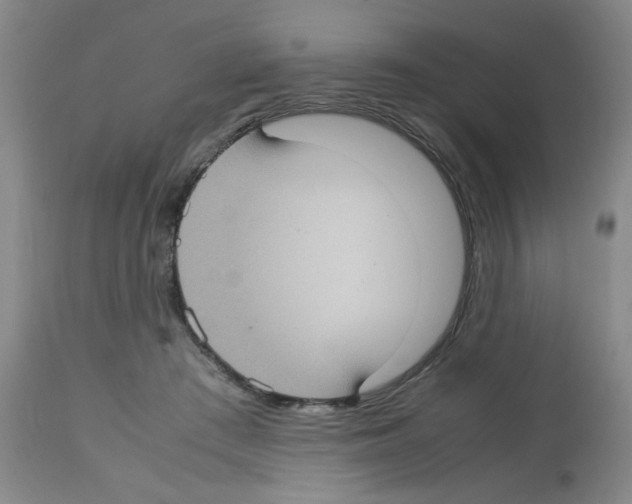 X0000112730409200910011202