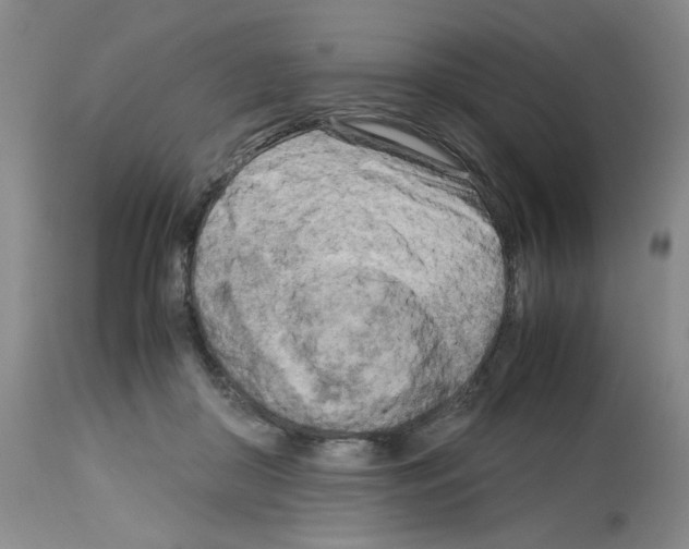 X0000112730410200910011202