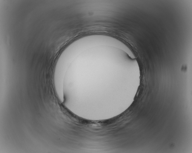 X0000112730411200910011202
