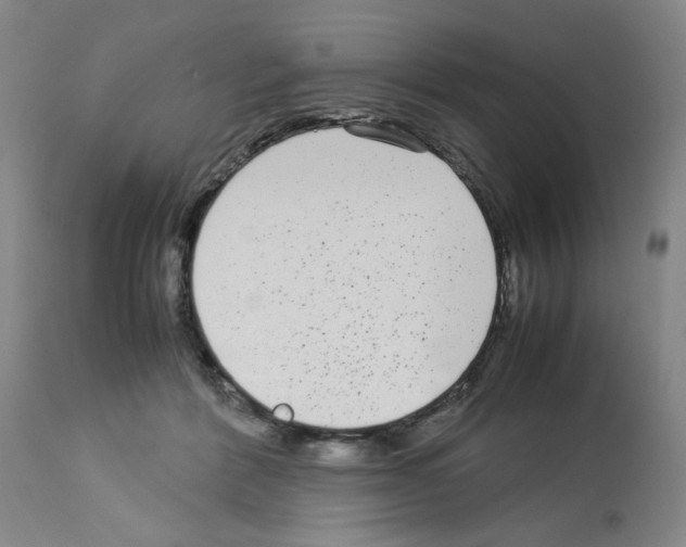 X0000112730412200910011202