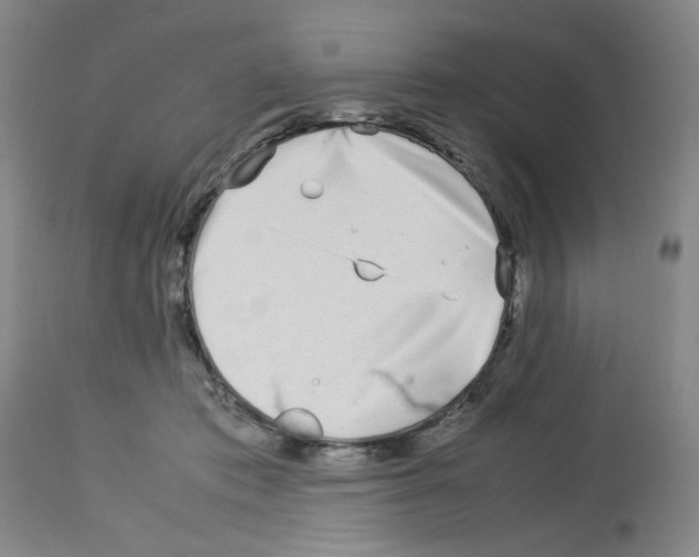 X0000112730413200910011202