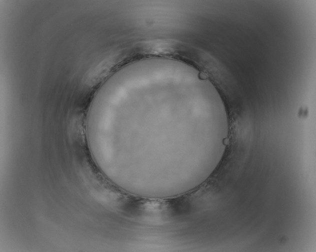 X0000112730415200910011202