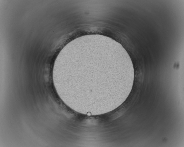 X0000112730416200910011202