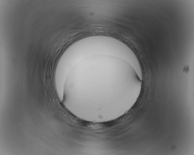X0000112730417200910011202