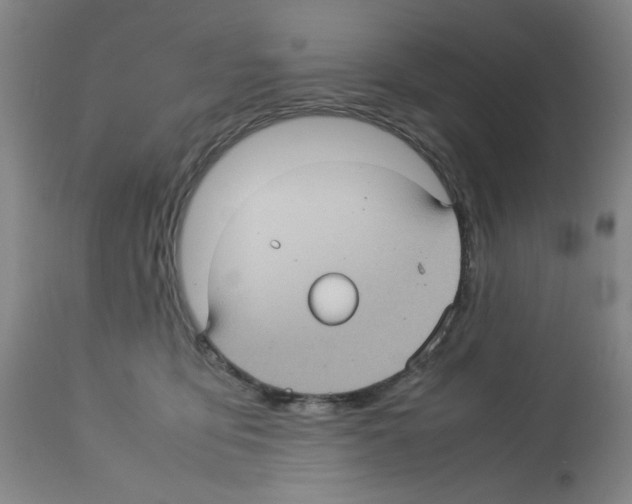 X0000112730419200910011201