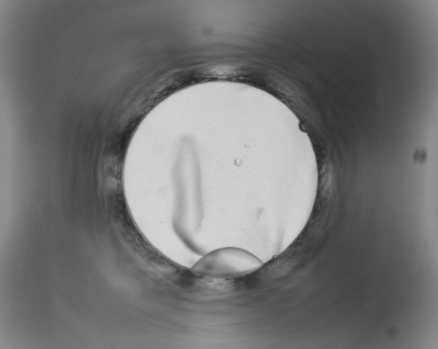 X0000112730421200910011201
