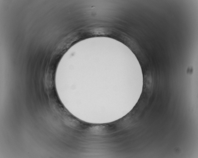 X0000112730422200910011201