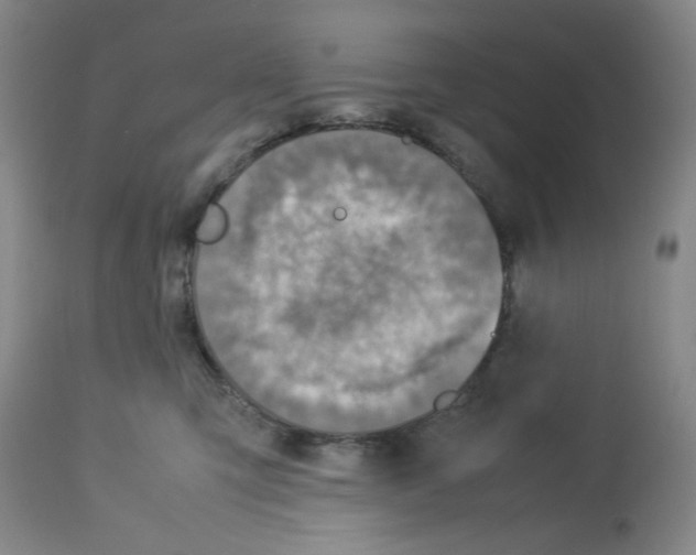 X0000112730423200910011201