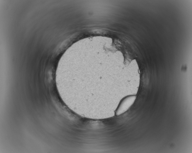 X0000112730424200910011201