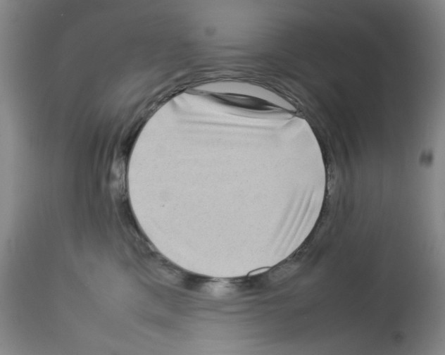 X0000112730425200910011201