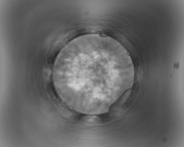 X0000112730427200910011201