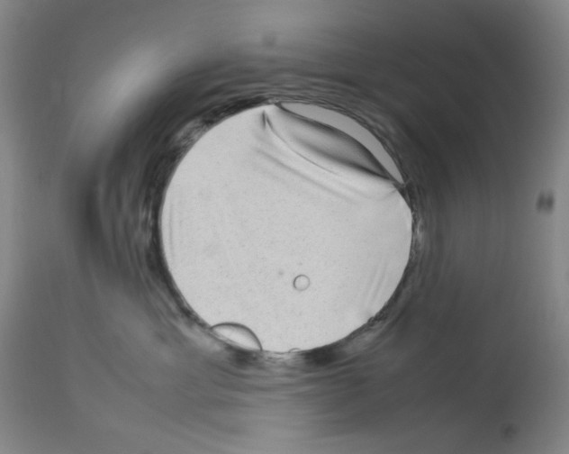 X0000112730429200910011201