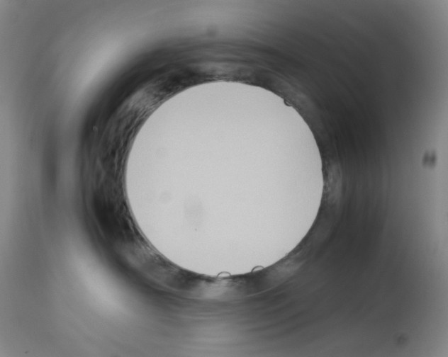 X0000112730430200910011201