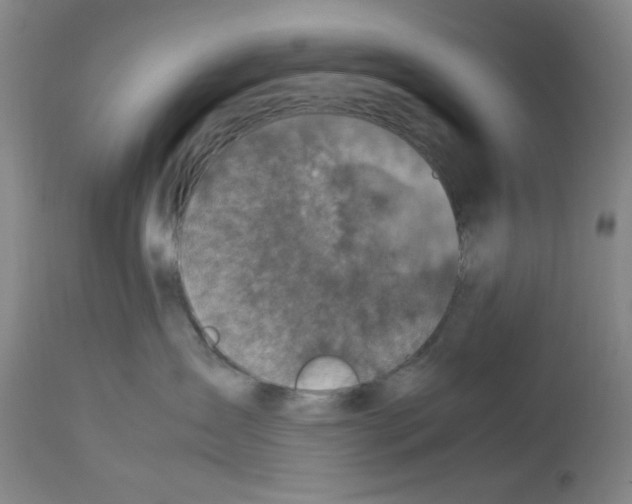 X0000112730431200910011201