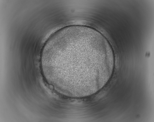 X0000112730434200910011201
