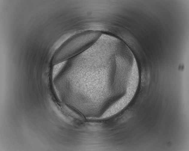 X0000112730436200910011201