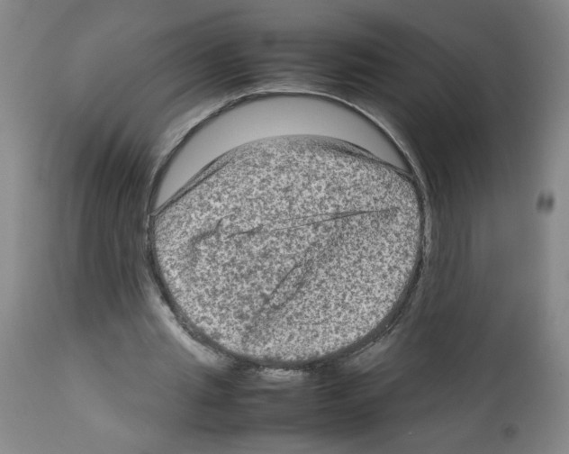 X0000112730437200910011201