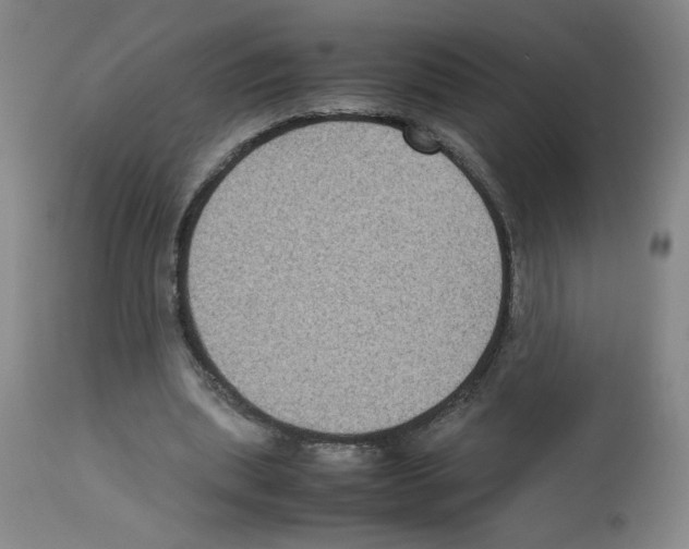 X0000112730439200910011201