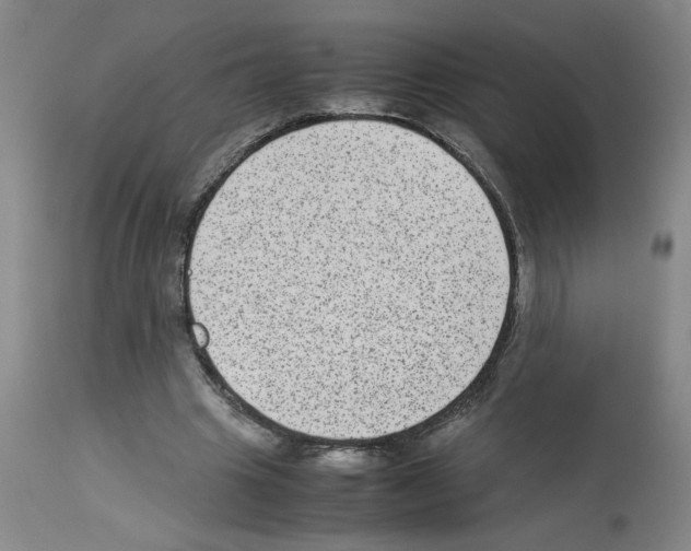 X0000112730441200910011201