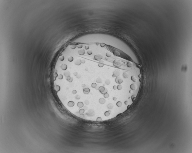 X0000112730443200910011201