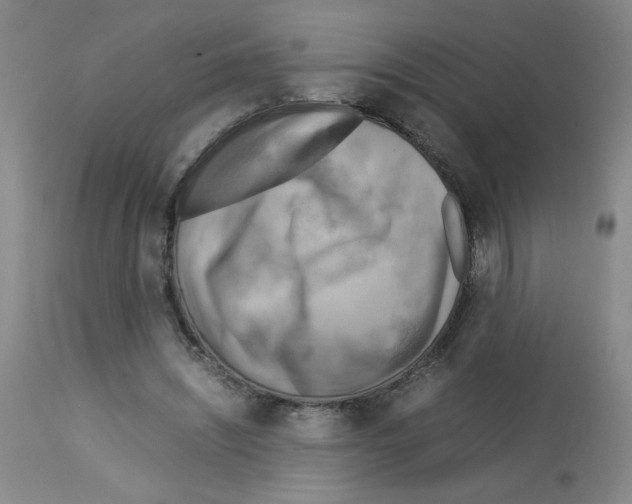 X0000112730444200910011201