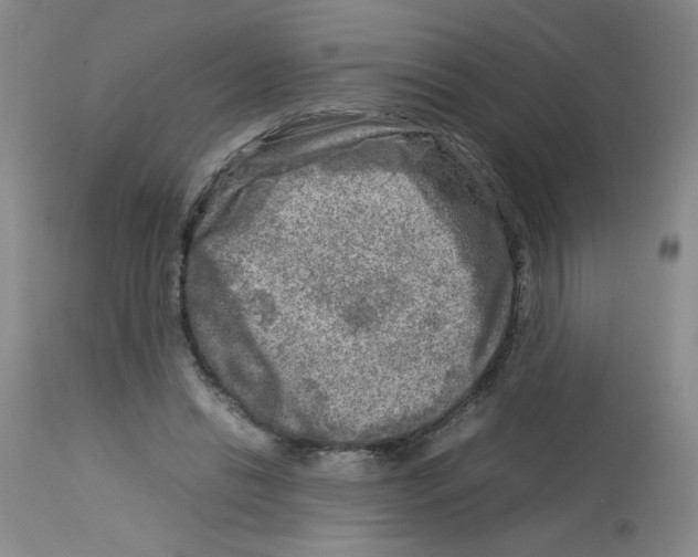 X0000112730446200910011201