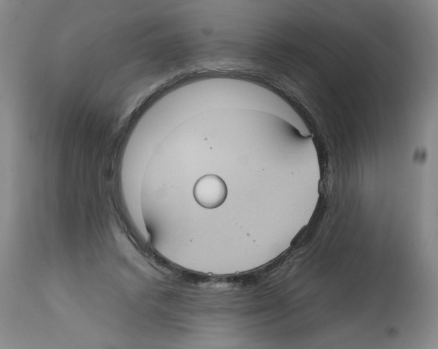 X0000112730448200910011201